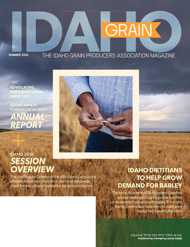 IG Summer 26 Cover